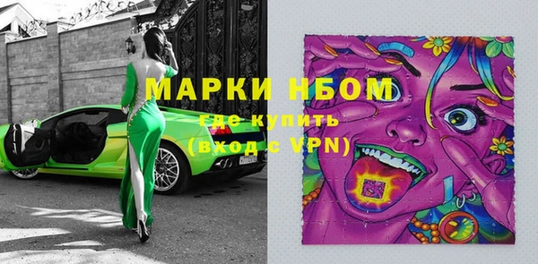 дмт Бородино
