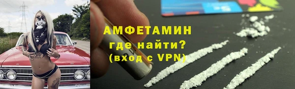 дмт Бородино