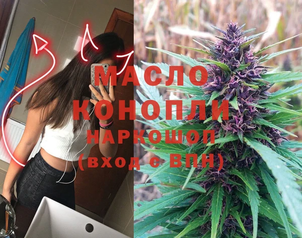 дмт Бородино