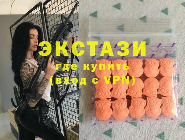 дмт Бородино