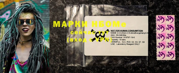 дмт Бородино