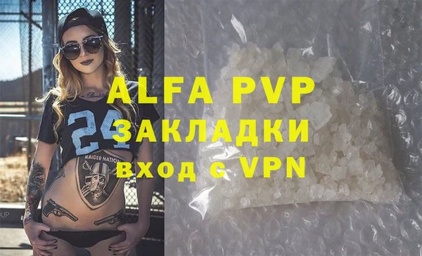 дмт Бородино
