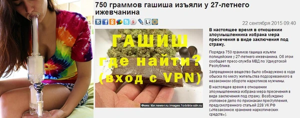 дмт Бородино