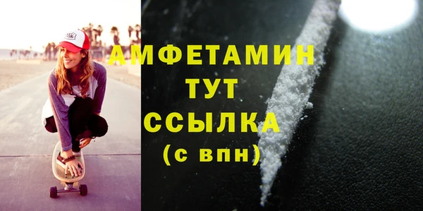 дмт Бородино