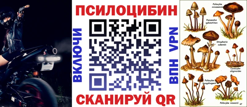 кракен   Плёс  Псилоцибиновые грибы MAGIC MUSHROOMS 